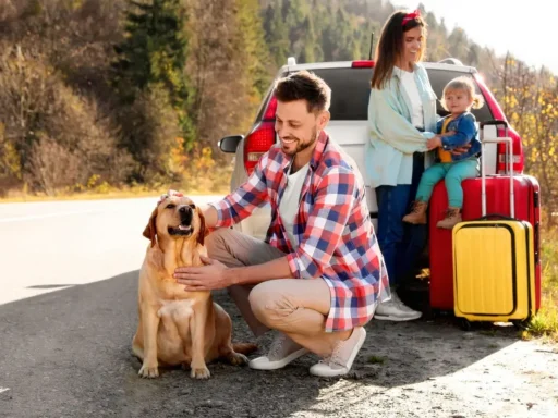 Mascota cómoda en un coche seguro durante un viaje