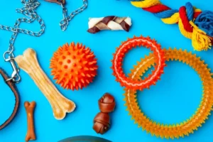 Juguetes caseros para perros