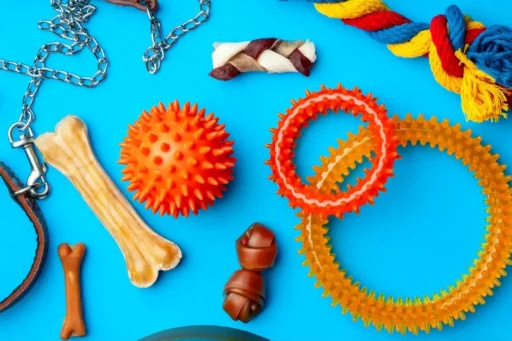 Juguetes caseros para perros