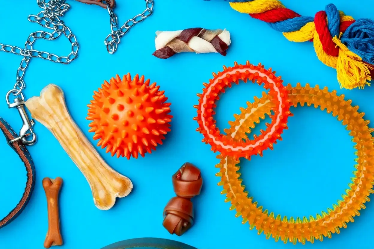 Juguetes caseros para perros