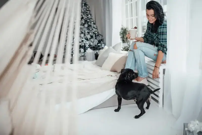 Un pug disfrutando de un paseo corto