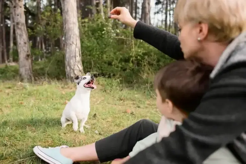 Un dueño feliz y su perro en una sesión de entrenamiento conjunta.