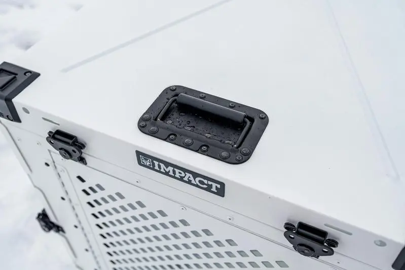 Un perro bien socializado interactuando con otros como parte de su educación.